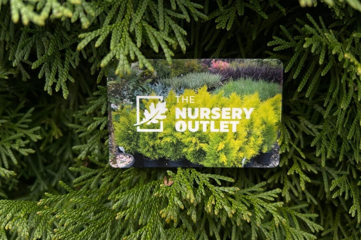 A Nursery Outlet premium garden gift display