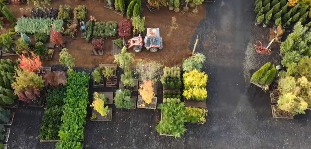 The Nursery Outlet outdoor plant nursery display