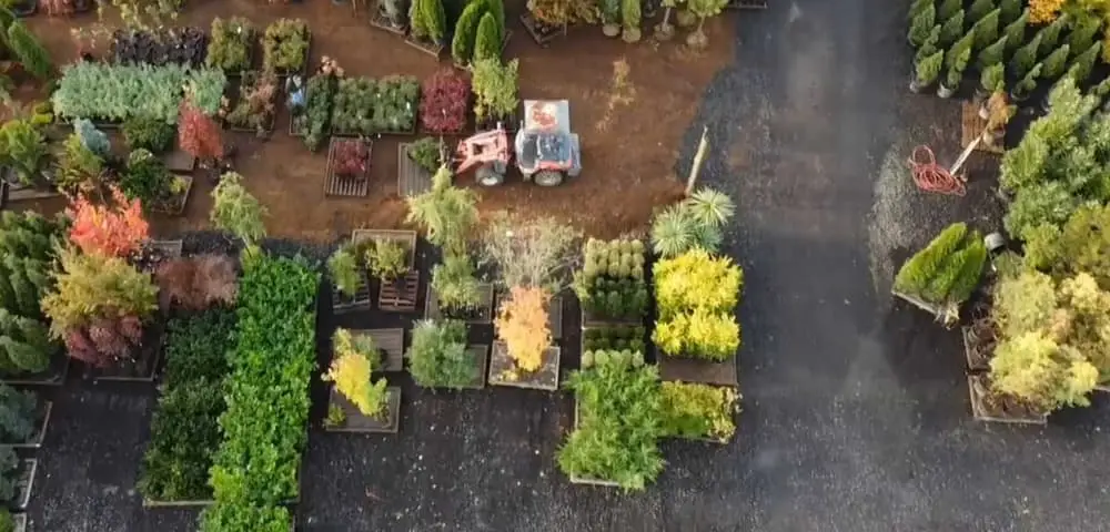 The Nursery Outlet outdoor plant nursery display